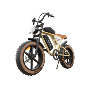 Velo-moto-electrique-puissant.jpg