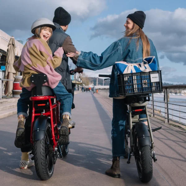Gros-velo-electrique-2-places-balade.webp