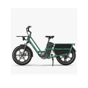 Velo-cargo-electrique-2-enfants.jpg