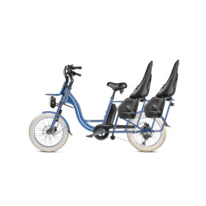 Velo-cargo-electrique-3-places-arriere.jpg