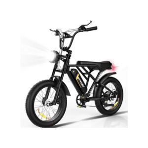 Velo-electrique-2-places.jpg