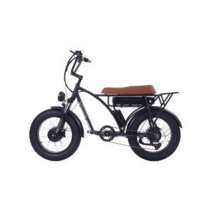 Velo-electrique-2-places-50-km-h-1.jpg