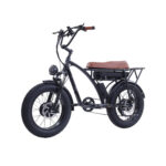 Velo-electrique-2-places-50-km-h-marron-1.jpg