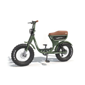 Velo-electrique-biplace-vert-1-batterie-tt.jpg