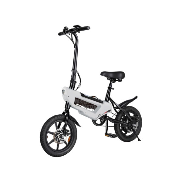 Velo-electrique-carbone-leger.jpg