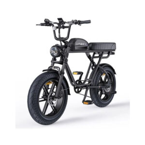 Velo-electrique-grosse-roue-2-places.jpg