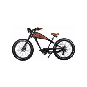 Velo-electrique-grosse-roue-vintage.jpg