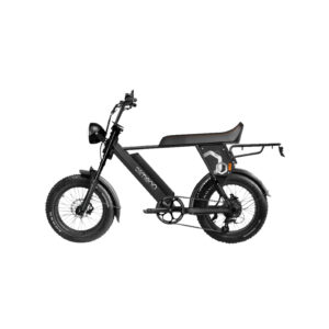 Velo-electrique-pour-2-personnes-S.jpg