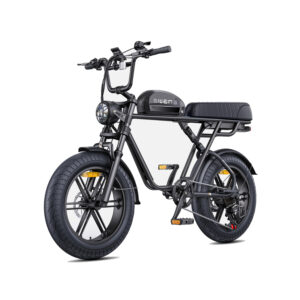Velo-electrique-tout-terrain-2-places-1.jpg