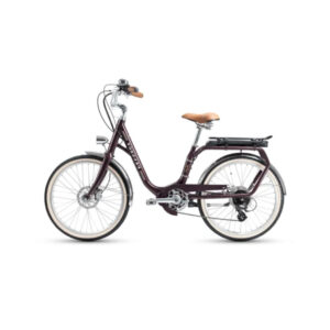Velo-electrique-vintage-homme.jpg