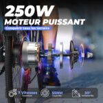 Velo-electrique-xl-homme-250-w.jpg