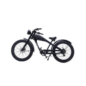moto-style-e-bike.jpg