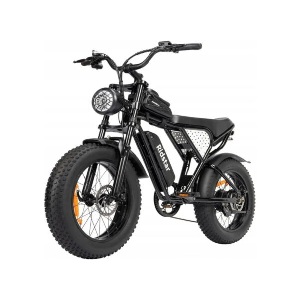 velo-electrique-1000w.jpg