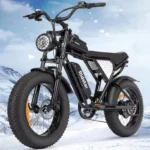 velo-electrique-1000w-LCD.webp