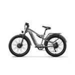 velo-electrique-2000w-rapide.jpg