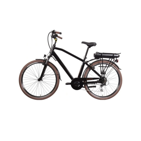 velo-electrique-e-balade-noir-et-marron.jpg
