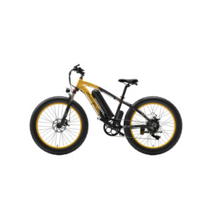 velo-electrique-puissant-sport.webp