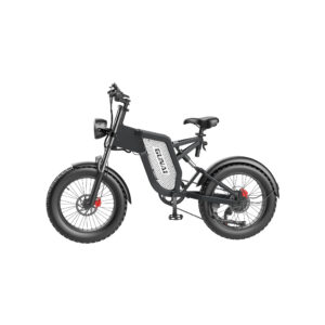 vtt-electrique-avec-poignee-accelerateur-puissant.jpg