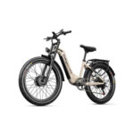 velo-electrique-2-moteurs.jpg