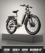 velo-electrique-2-moteurs-2000W.webp