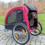 velo-electrique-avec-remorque-pour-chien-gentil.jpg