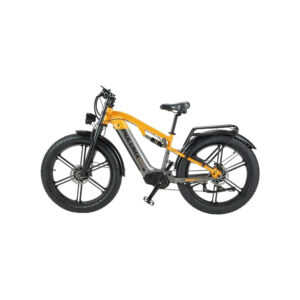 velo-electrique-double-moteur-grosses-roues.jpg