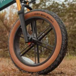 velo-electrique-fat-tire-roue-avant.webp