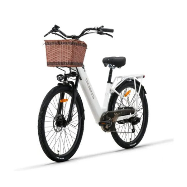 velo-electrique-femme-avec-panier.jpg