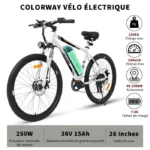 velo-electrique-femme-batterie-amovible-250W.webp