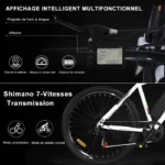 velo-electrique-femme-batterie-amovible-affichage-intelligent.webp