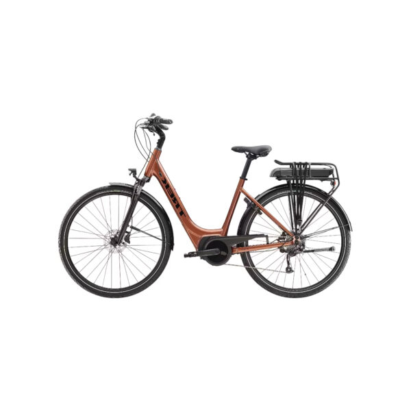 velo-electrique-femme-trek.jpg