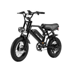 velo-electrique-gros-pneus.jpg