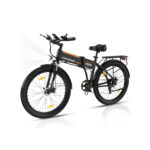 velo-electrique-pliant-grande-taille.jpg