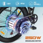 velo-electrique-pliant-grande-taille-250W.jpg