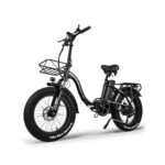 Fat-Bike-Assistance-Electrique.jpg