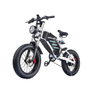 Fat-Bike-Electrique-Puissant.jpg