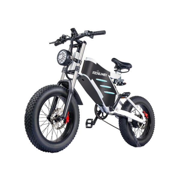 Fat-Bike-Electrique-Puissant.jpg