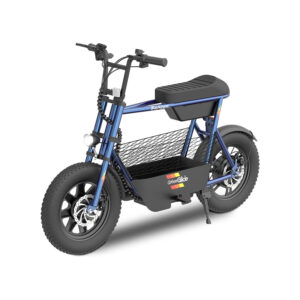 Fatbike-Electrique-2-Places.jpg