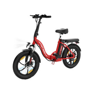 Fatbike-Electrique-Femme.jpg