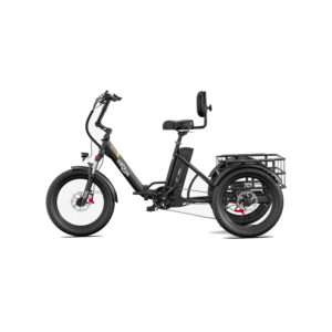 Tricycle-Cargo-Electrique.jpg