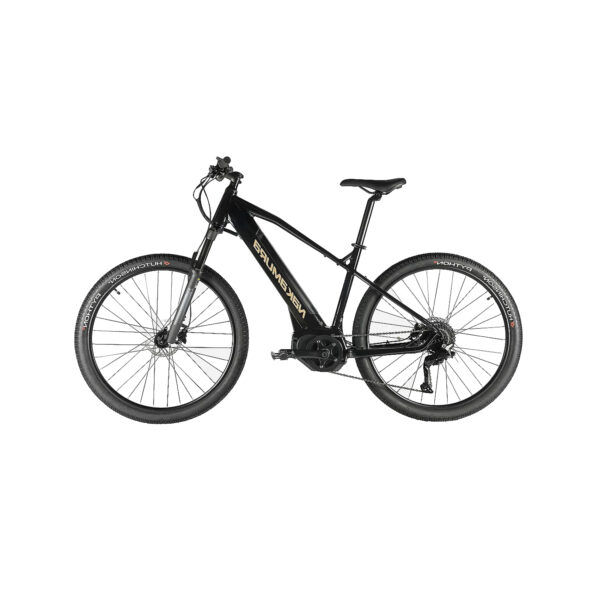VTT-Electrique-Leger-Et-Performant-noir.jpg