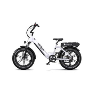 Velo-Assistance-Electrique-Cargo.jpg
