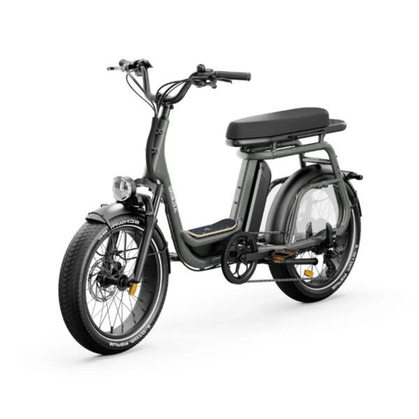 Velo-Electrique-Biplace-Adulte.jpg