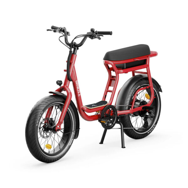 Velo-Electrique-Biplace-Cargo.jpg