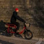 Velo-Electrique-Biplace-Cargo-confortable.webp