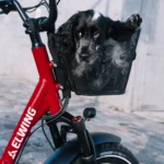 Velo-Electrique-Biplace-Cargo-panier-avant.webp