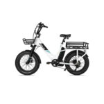 Velo-Electrique-Cargo-Arriere.jpg