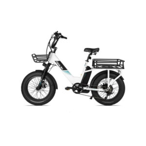 Velo-Electrique-Cargo-Arriere.jpg