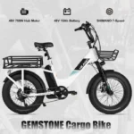Velo-Electrique-Cargo-Arriere-48V.webp