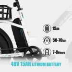 Velo-Electrique-Cargo-Arriere-autonomie.webp